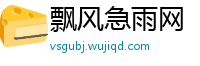 飘风急雨网